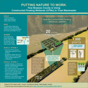 Preview of the Constructed Floating Wetland infographic