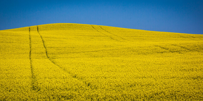 Prairie landscape by Bill Trout