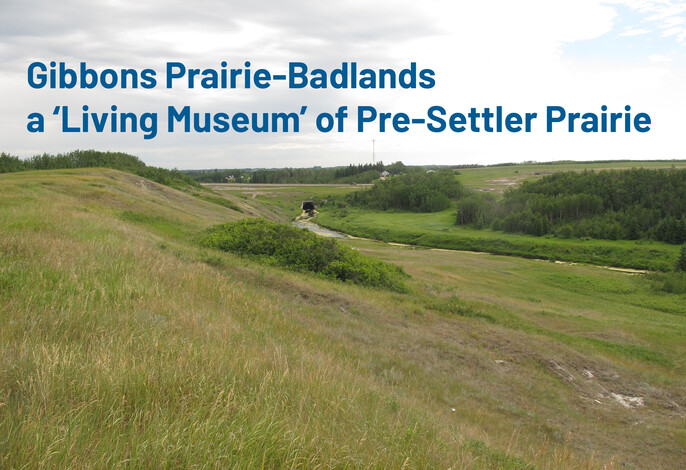 Grassland vista with Sturgeon River in the background and some badland outcroppings.