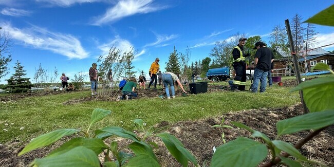 People gathering to plant native shrubs.