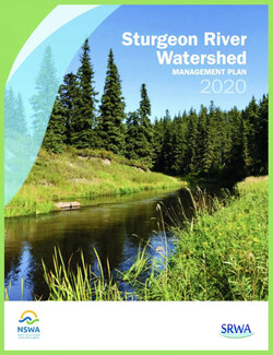 Sturgeon River Management Plan (2020) cover shows a stream with evergreens in the background.