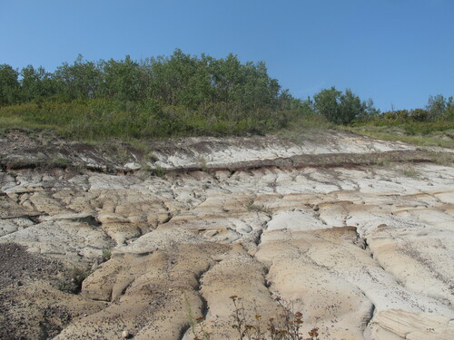 A view of the exposed sandstone and bentonitic clay. Photo credit: ENPS.