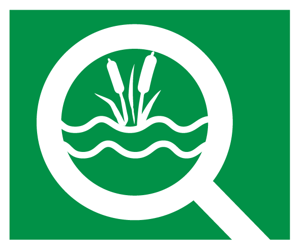 Wetland monitoring icon shows water and cattails inside magnifying glass
