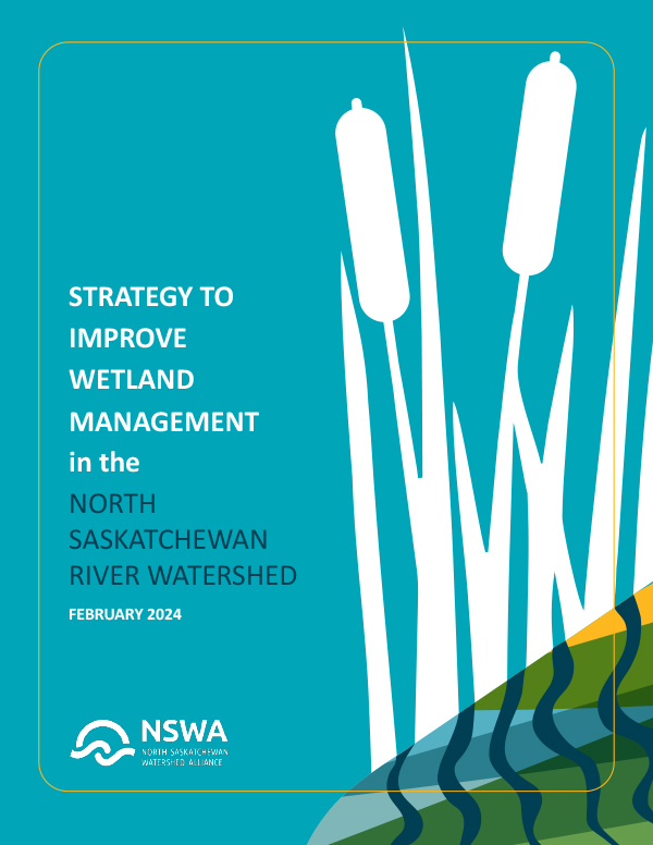 Wetland Strategy Report cover