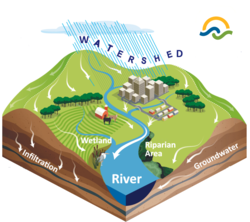 Image displaying how water moves within a watershed or drainage basin